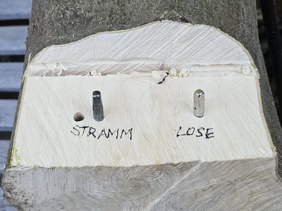 20240810_174742_resized_1.jpg 20240810_174742_resized_1.jpg