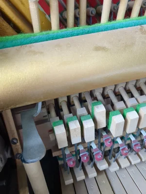 IMG_20240811_154340_235.webp IMG_20240811_154340_235.webp