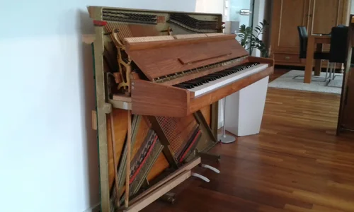 Rippen1.webp Rippen1.webp