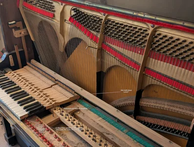 2024-12-30 20_00_41-PXL_20241229_093710245.webp