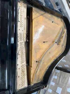 IMG_9509.jpeg IMG_9509.jpeg