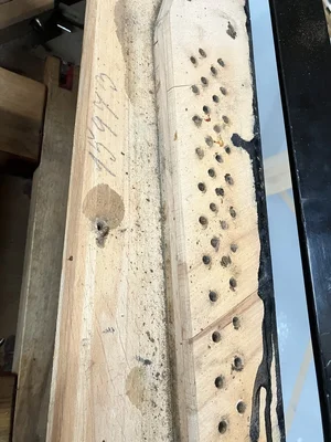 IMG_9511.jpeg IMG_9511.jpeg