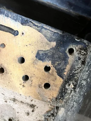 IMG_9512.jpeg IMG_9512.jpeg