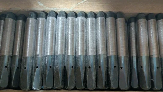 Stimmwirbel1.jpg Stimmwirbel1.jpg