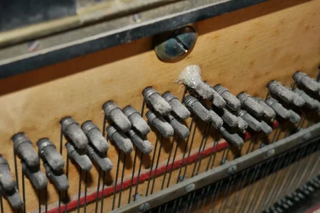 P1220587.webp P1220587.webp