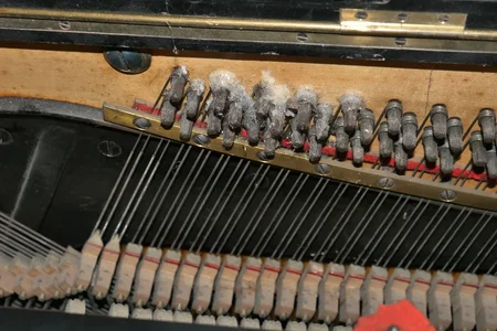 P1220586.webp P1220586.webp