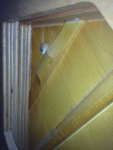IMG_1544_2.jpeg IMG_1544_2.jpeg