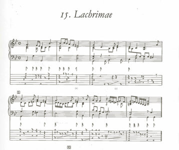 Unbenannt-2.jpg