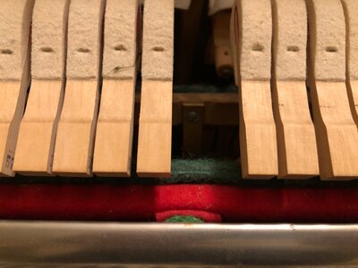 IMG_0150.jpeg