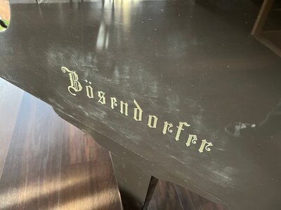 Boesendorfer_Schlieren.JPG Boesendorfer_Schlieren.JPG