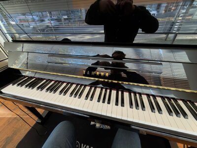 IMG_0320.jpeg IMG_0320.jpeg