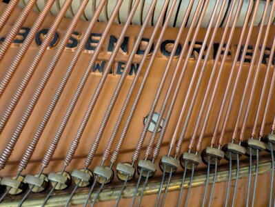 Fehlende Saite an Agraffe.jpg Fehlende Saite an Agraffe.jpg