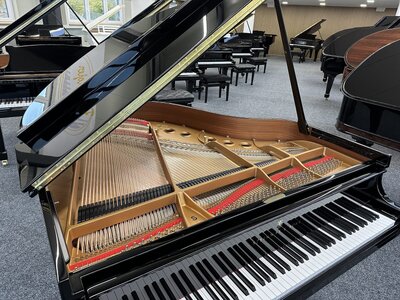 Steinway-S-1961-11-scaled.jpg