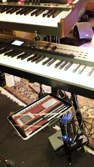 IMG_20251115_200744.jpg IMG_20251115_200744.jpg