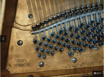 Screenshot 2025-11-23 at 18-04-54 Blüthner Flügel mit vollem Klang und schöner Patina in Bayer...png