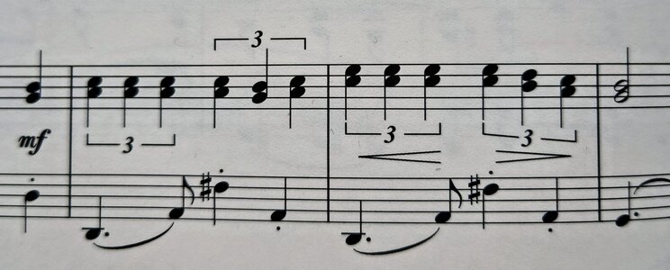 Blattspiel.jpg Blattspiel.jpg