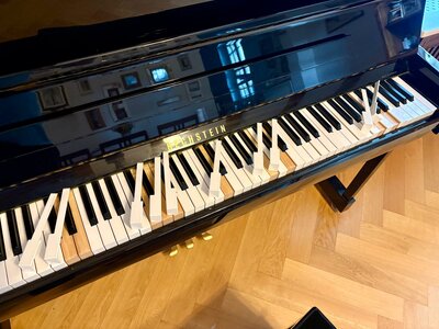 Bechstein B124style.jpeg