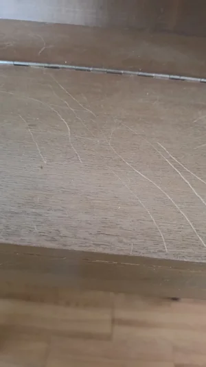 1000012474.webp 1000012474.webp