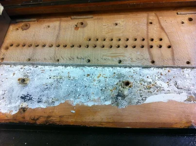 Stimmstock_20141028_1.webp Stimmstock_20141028_1.webp