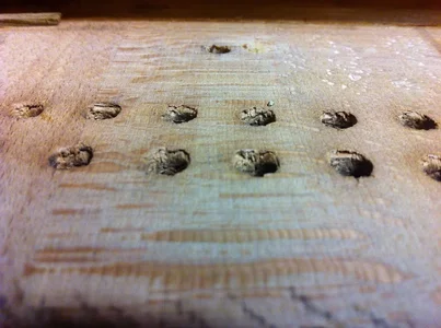 Stimmstock_20141028_2.webp Stimmstock_20141028_2.webp