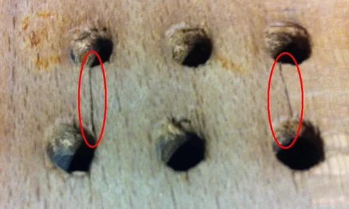 Stimmstock_20141028_3_A1.webp Stimmstock_20141028_3_A1.webp