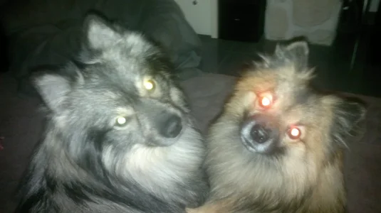 Spitze 193.webp Spitze 193.webp