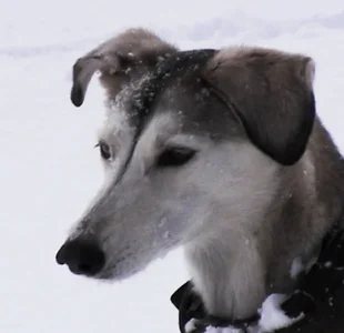 Bildschirmfoto 2014-12-08 um 20.10.46.webp