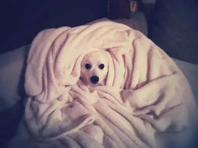 10351152_788682104532891_2812600435182559927_n.webp 10351152_788682104532891_2812600435182559927_n.webp