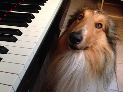 ImageUploadedByTapatalk1418133933.069076.webp ImageUploadedByTapatalk1418133933.069076.webp