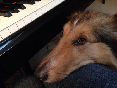 ImageUploadedByTapatalk1418133966.567444.webp ImageUploadedByTapatalk1418133966.567444.webp