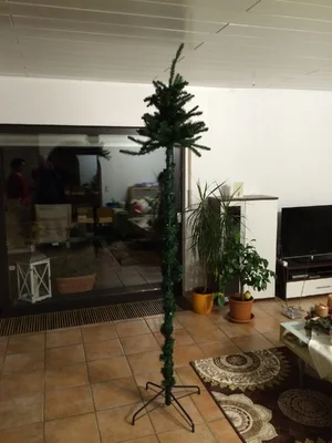 image.webp image.webp