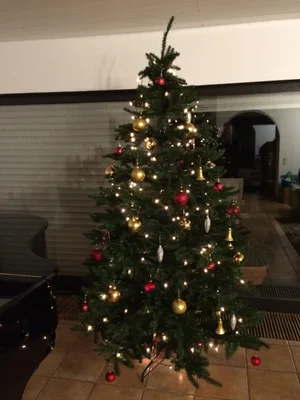 image.webp image.webp