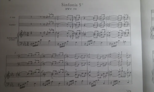 sinfonia5.webp sinfonia5.webp