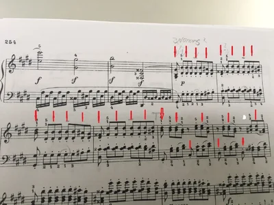 Mond_r_h_Akzente.webp Mond_r_h_Akzente.webp