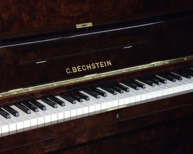 Bechstein 10 Wurzelnuss 2.webp