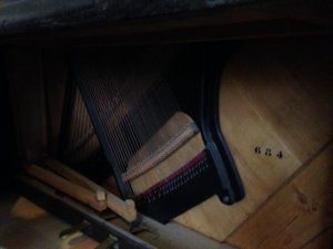 IMG_0242.JPG