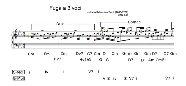 WTK_I_c_Moll.webp WTK_I_c_Moll.webp