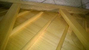 WP_20150609_008.jpg