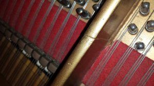 20150725_110056.jpg