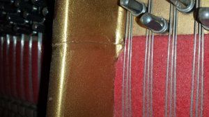20150725_110105.jpg