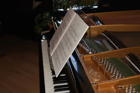 DSC00007.webp DSC00007.webp