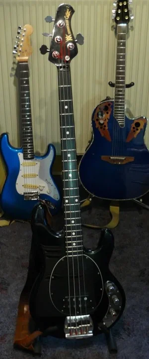musicman.webp musicman.webp