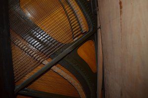 k-PIG_5608.JPG k-PIG_5608.JPG