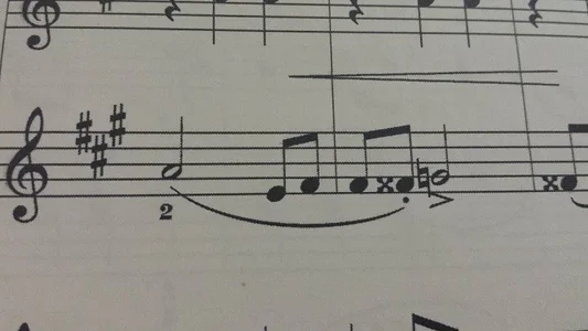 2015-12-29 19.59.15.webp