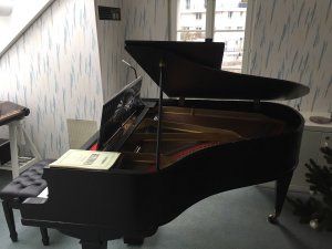 IMG_0252 2.jpeg