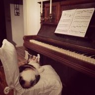 hoppel.ak-pianoforte
