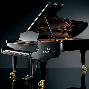 Cbechstein-fluegel-d282-schwarz__1_