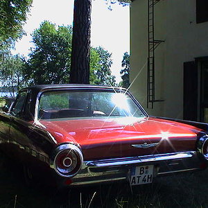 T-Bird200121.JPG