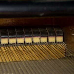 IMAG0017.JPG