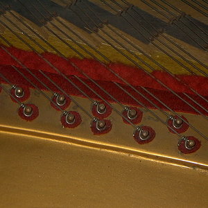 IMAG0019.JPG